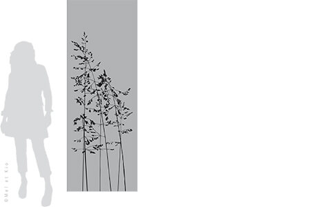 vitrophanie-depoli-vegetal-V11L2-Mel-et-Kio